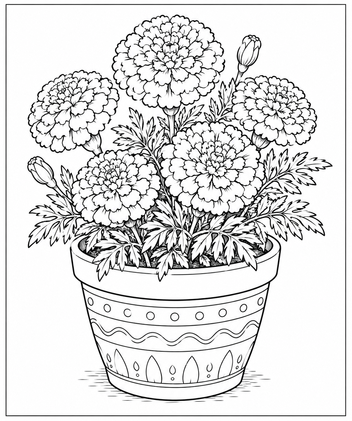 Marigold plant in terracotta pot Coloring Page — Free Printable — free printable coloring page